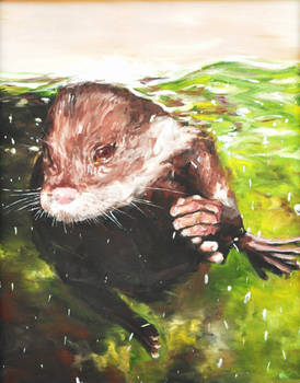 Otter painting