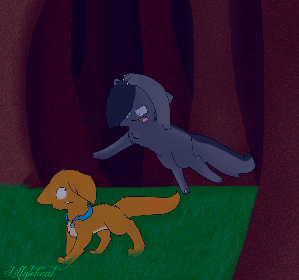 Rusty vs graypaw