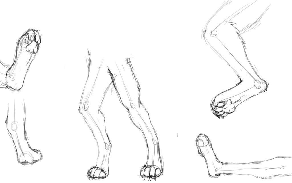 Digitrade Foot Digitigrade Foot Practice by Dani-Green on DeviantArt