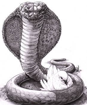 Serpent and the Dove