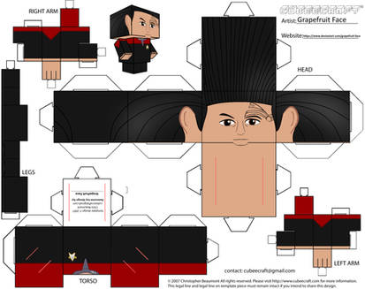 Chakotay Cubeecraft