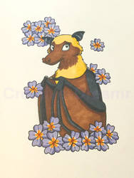 Flying Fox and Primroses
