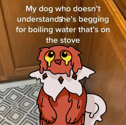 [PKMNCC] Give Her Boiling Water
