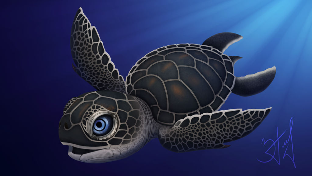 Deviantart Softshell Turtle Turtle by teaformanatee on DeviantArt