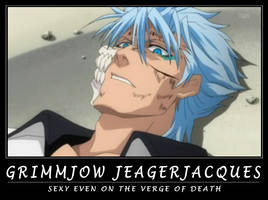 Grimmjow Jeagerjacques