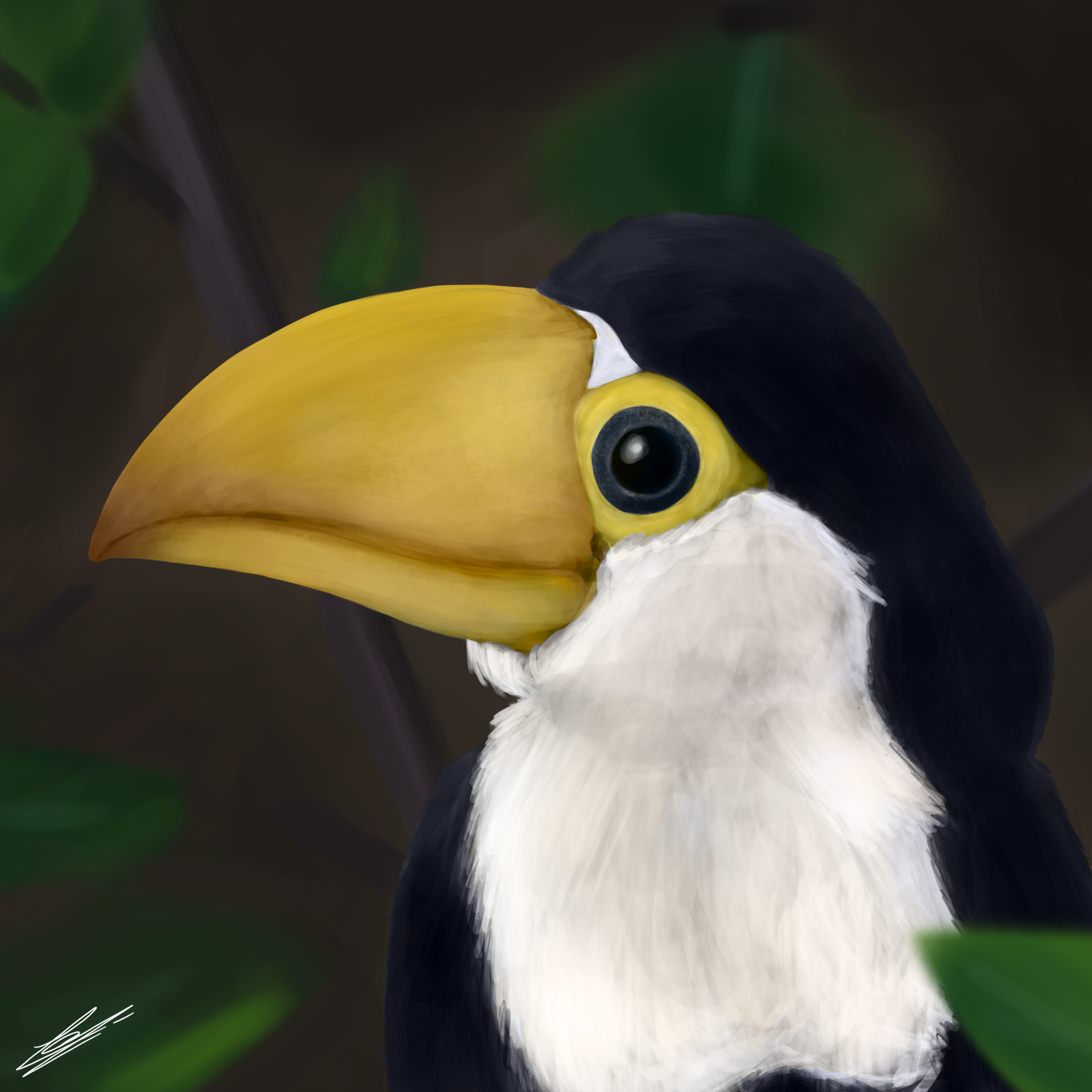 A Baby Toucan By Myusernameisskave On Deviantart A Baby Toucan By Myusernameisskave On Deviantart