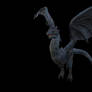 The Wyvern(Blue)|2 Legs 2 Wings Dragon| Ngchipv