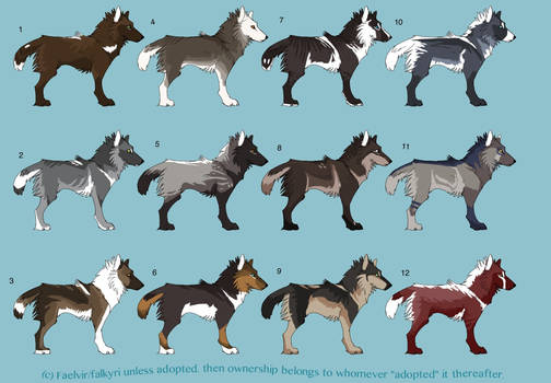 Wolf adoptables (2 OPEN)