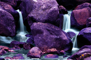 Blue Streams, Purple Rocks