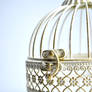 Little Birdie Cage