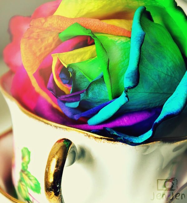 Rainbow Scented Petals