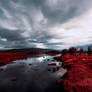 Blood Was Spilled On Rannoch Moor