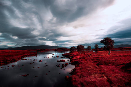 Blood Was Spilled On Rannoch Moor