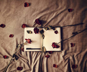 12/52 My Diary of Dying Roses by VelvetRedBullet