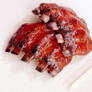 1/3 scale bbq ribs