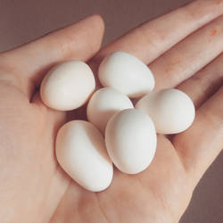 Fake Cockatiel Eggs