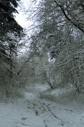 snow fairytale_2