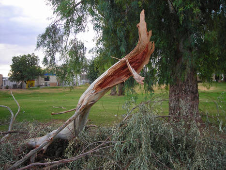 Broken Limb