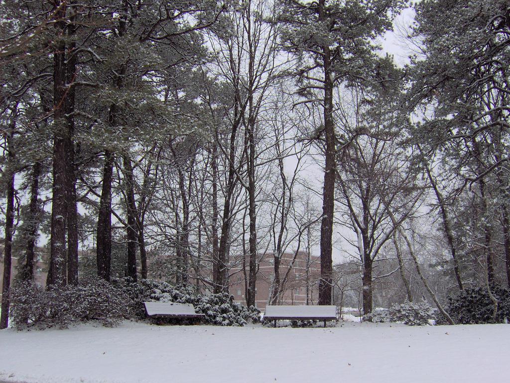 benches in snow