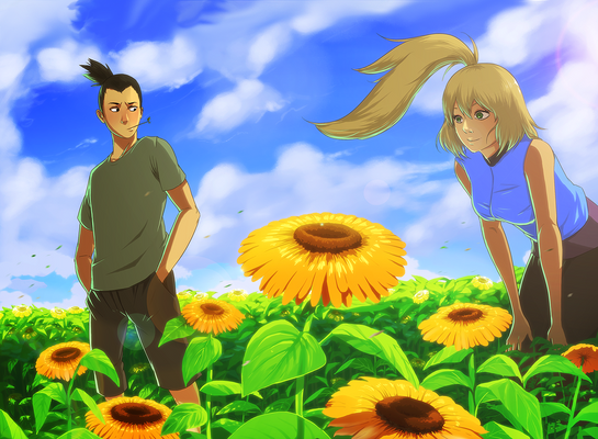 Commission: Lovelychu sunflower field