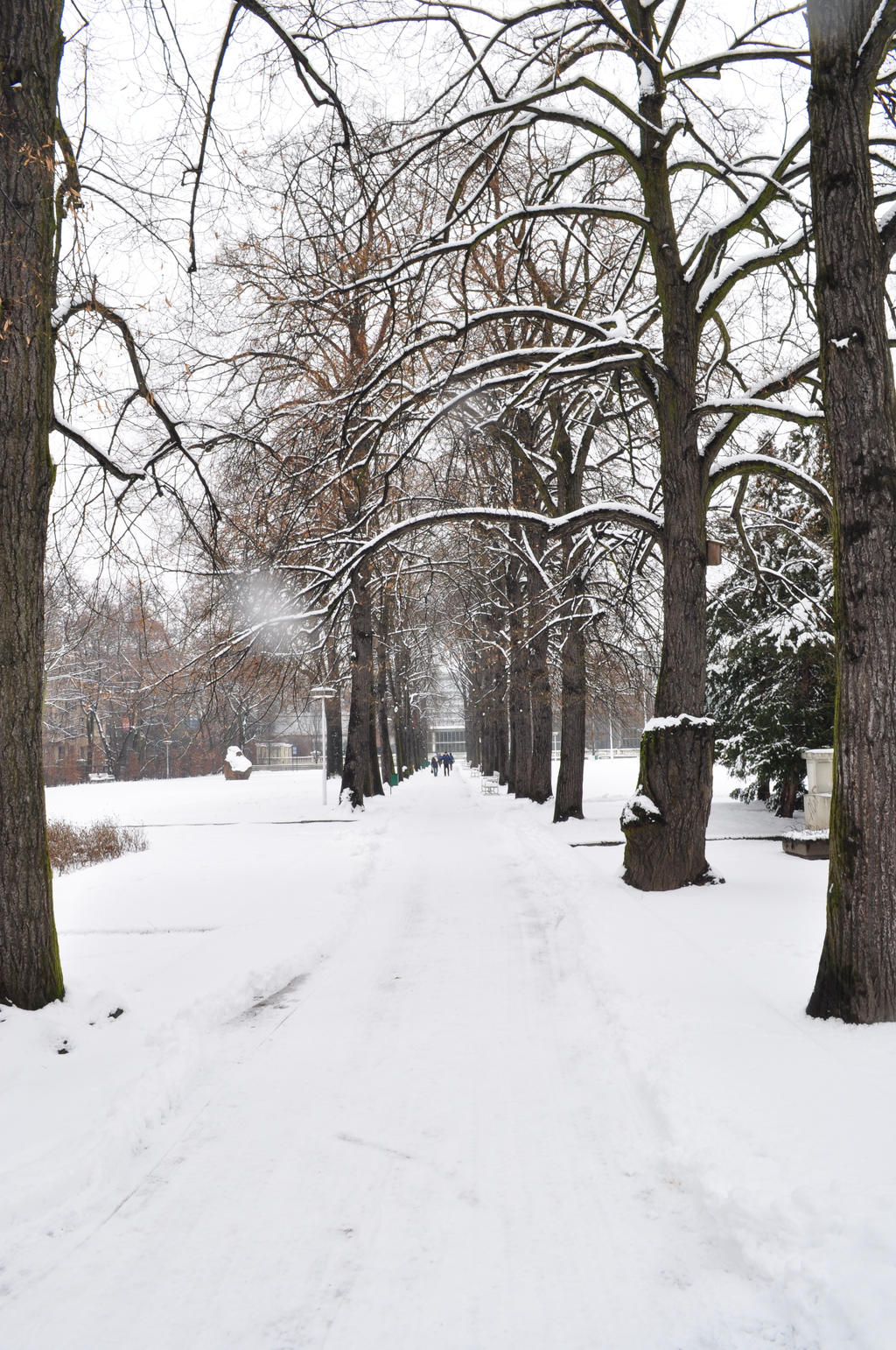 2 Park Wilsona // Poland