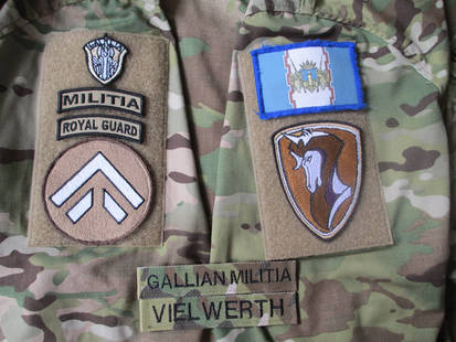 Gallian Militia Patches 2007EC