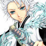 Bleach: 10th captain Hitsugaya