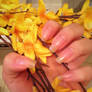 Clear Coat Nails with Flowers