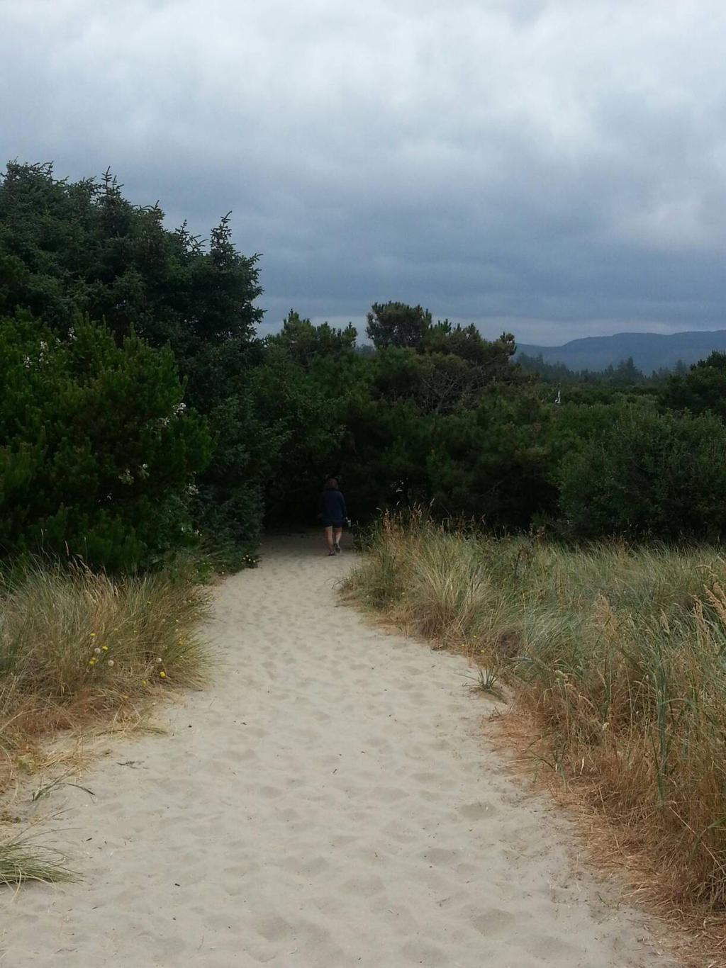 Sandy path by CelestialOrca on DeviantArt
