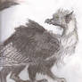 Griffin