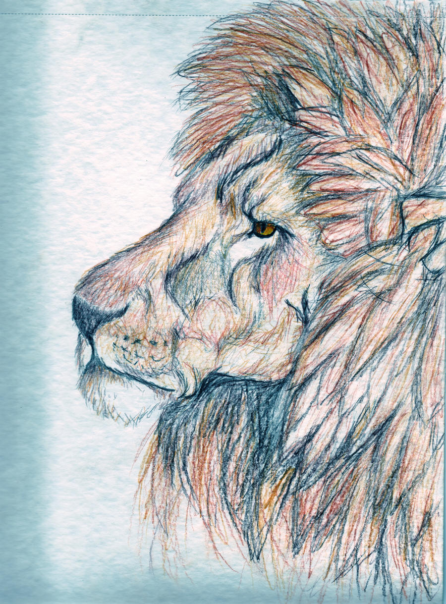 lion part 1