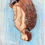 Robert Freefalling colored