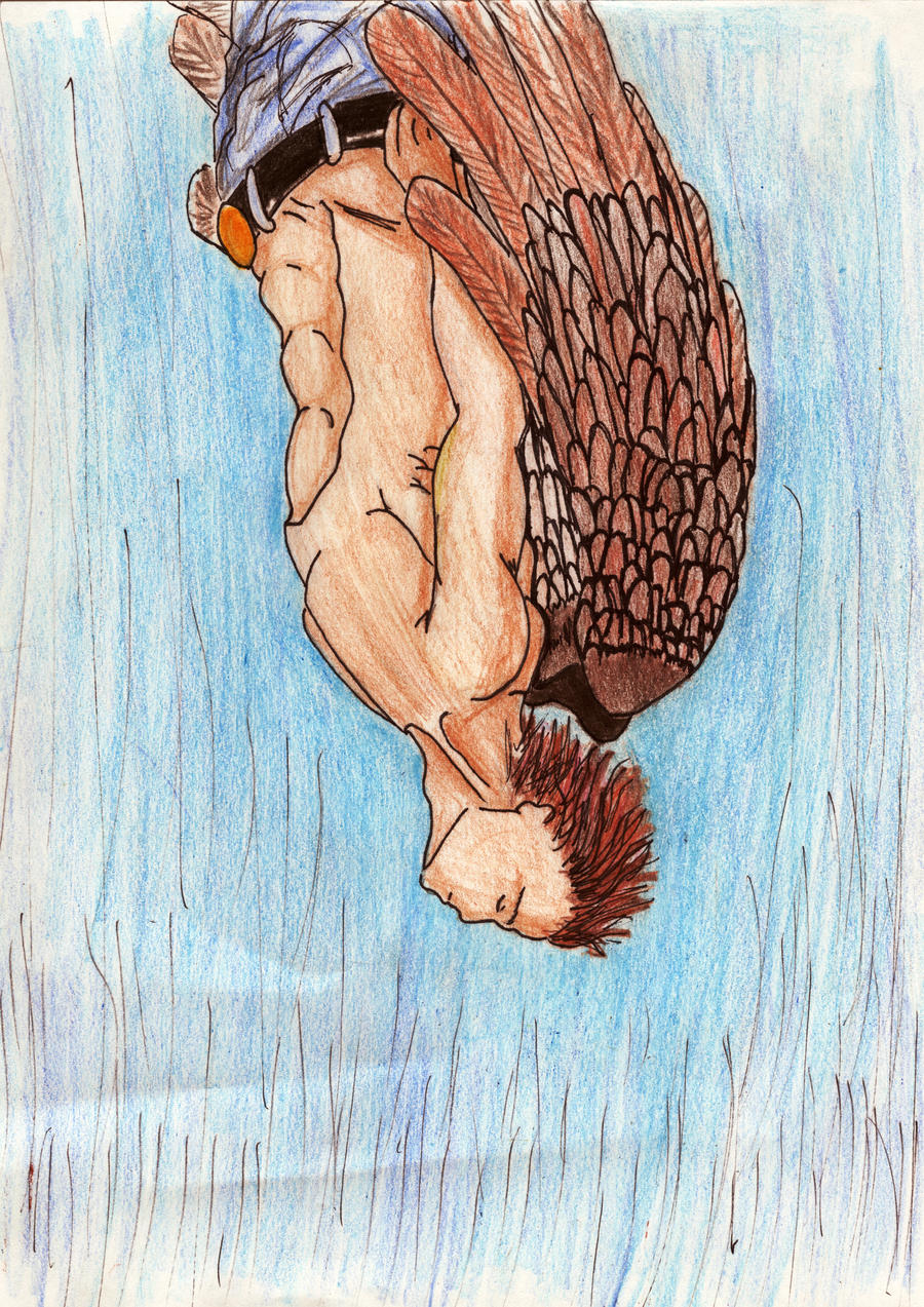 Robert Freefalling colored