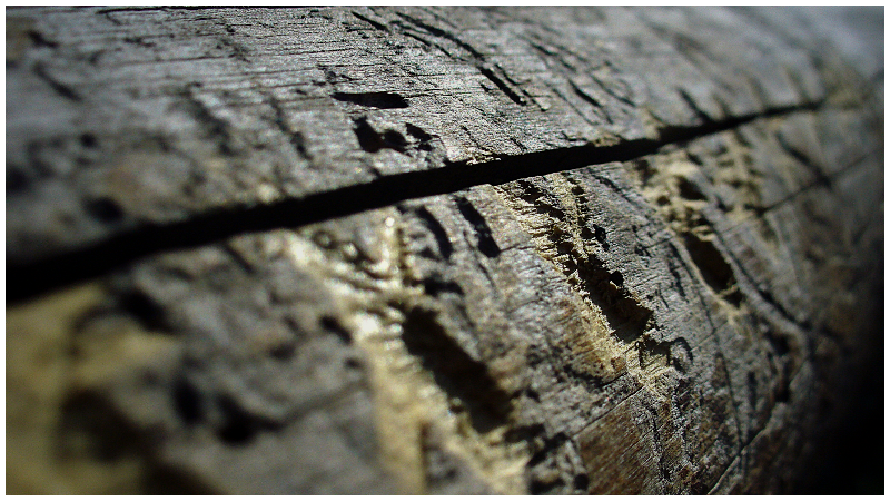 - Creossed Wood -