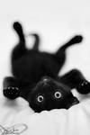 bw kitty by ruijoao