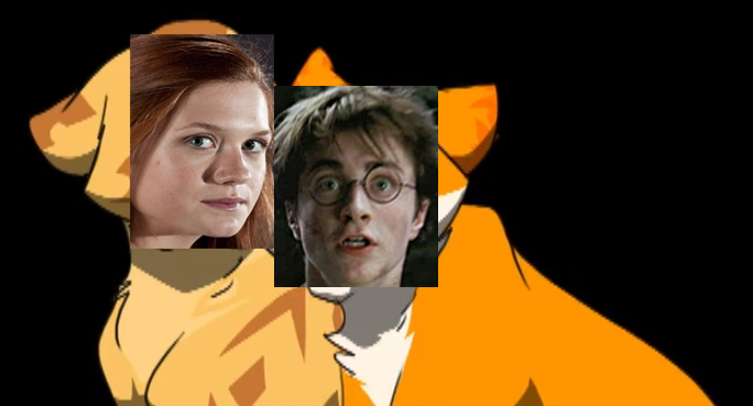 Sandginny and Firepotter