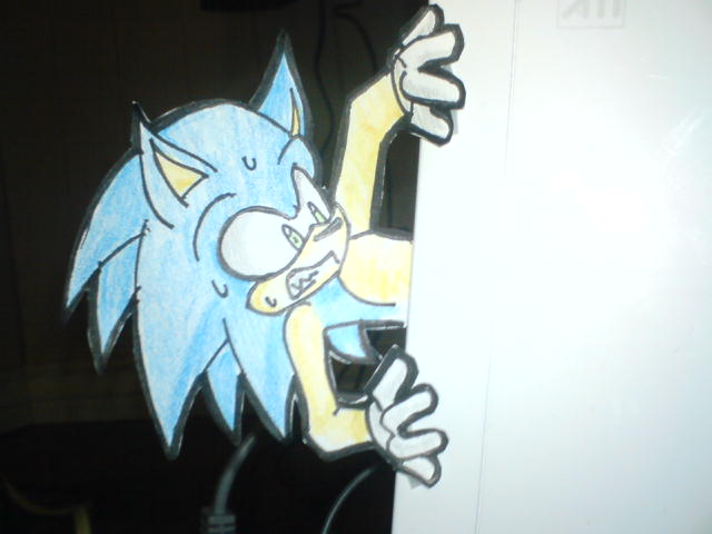 Sonic be eating of Wii xD