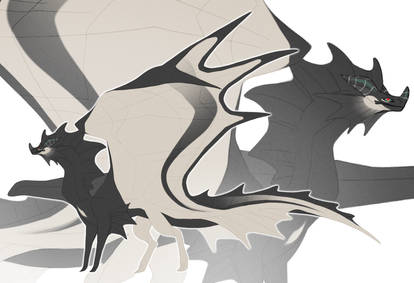 Black and white dragon OTA