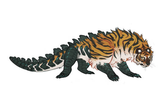 Tigator design