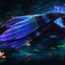 Elegant Night Nymph on the lake