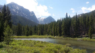 Landscape Stock 6
