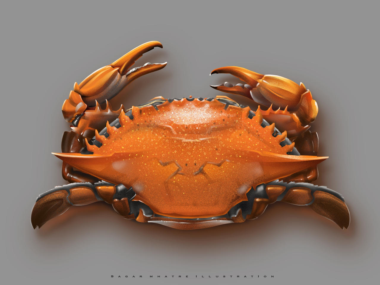 crab digital art by sandykml on DeviantArt