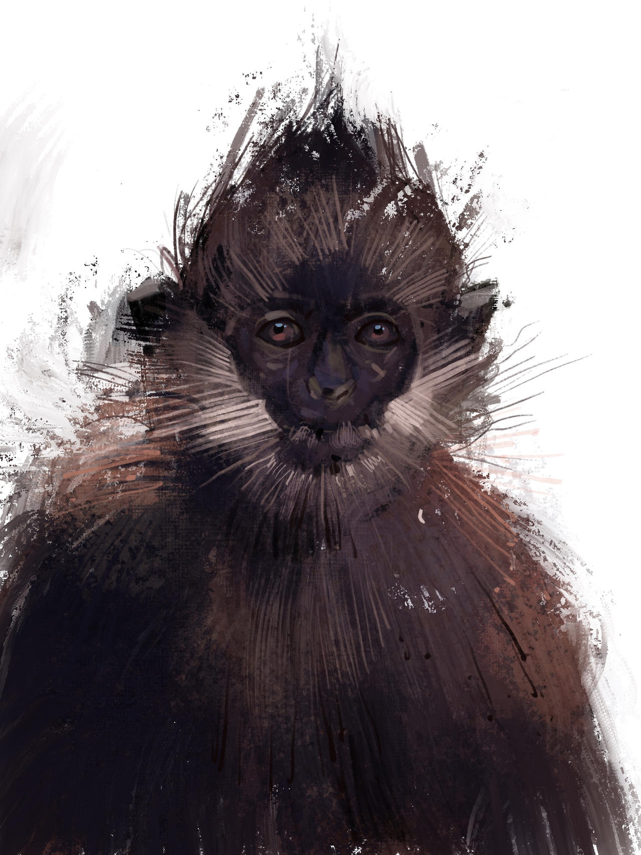 monkey - digital art by sandykml on DeviantArt
