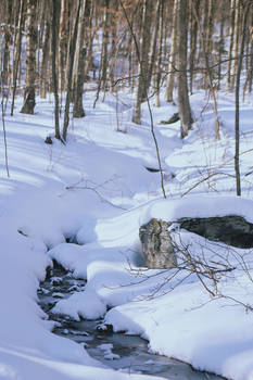 Frozen Creek Stock