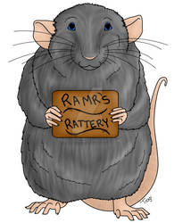 RAMR Rat Complete