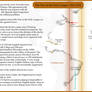 The War of the Holy League: 1511-1514