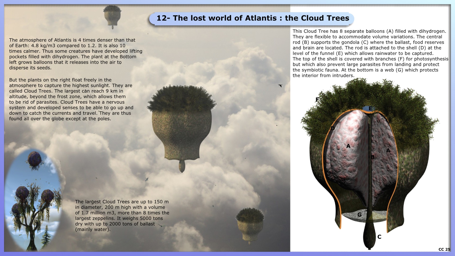 12- The lost world of Atlantis : the Cloud Trees