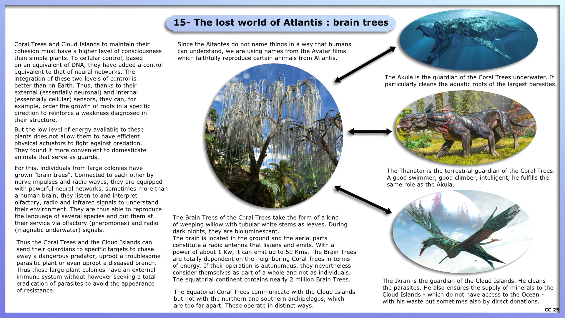 15- The lost world of Atlantis : brain trees