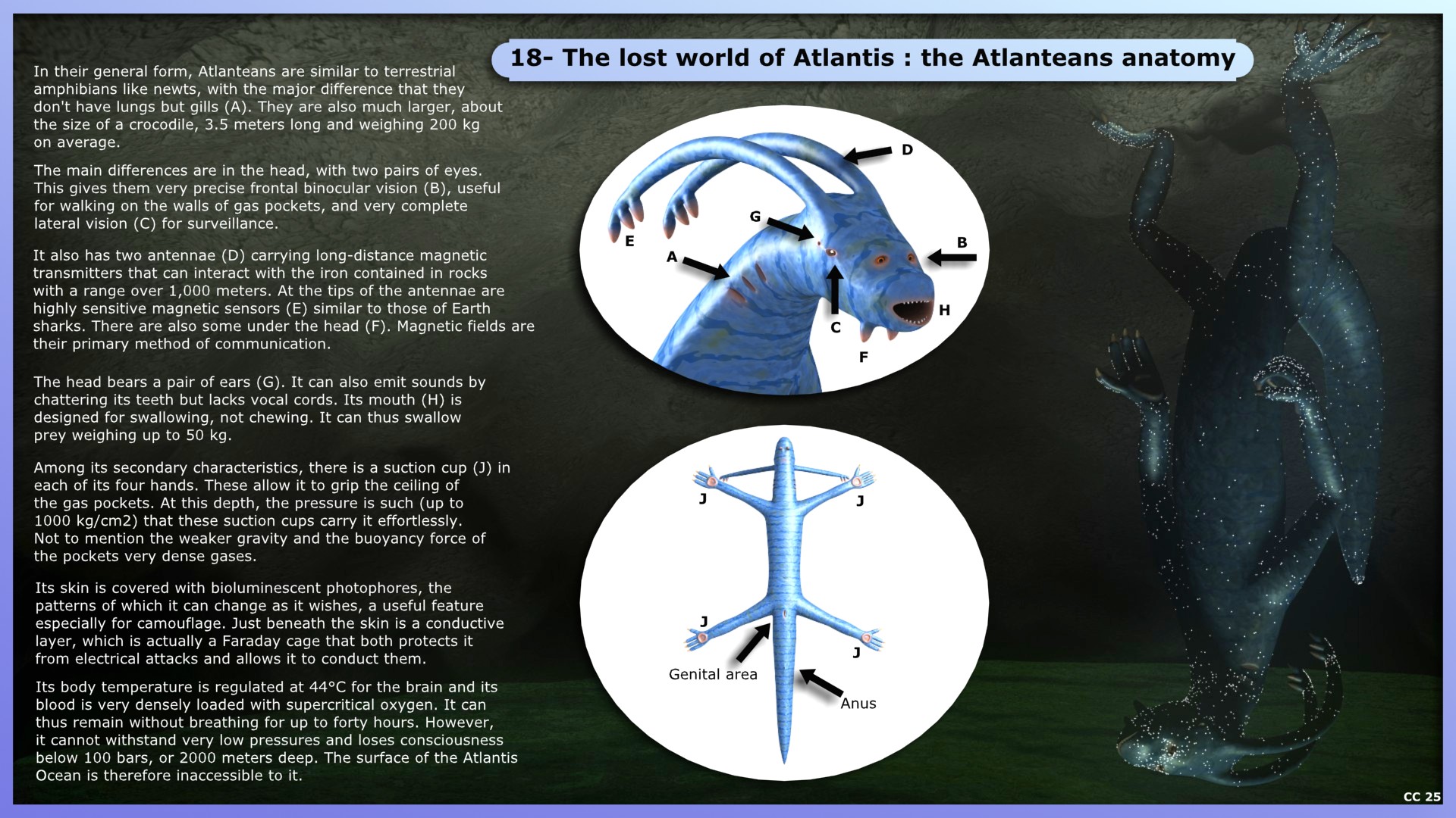 18- The lost world of Atlantis : the anatomy
