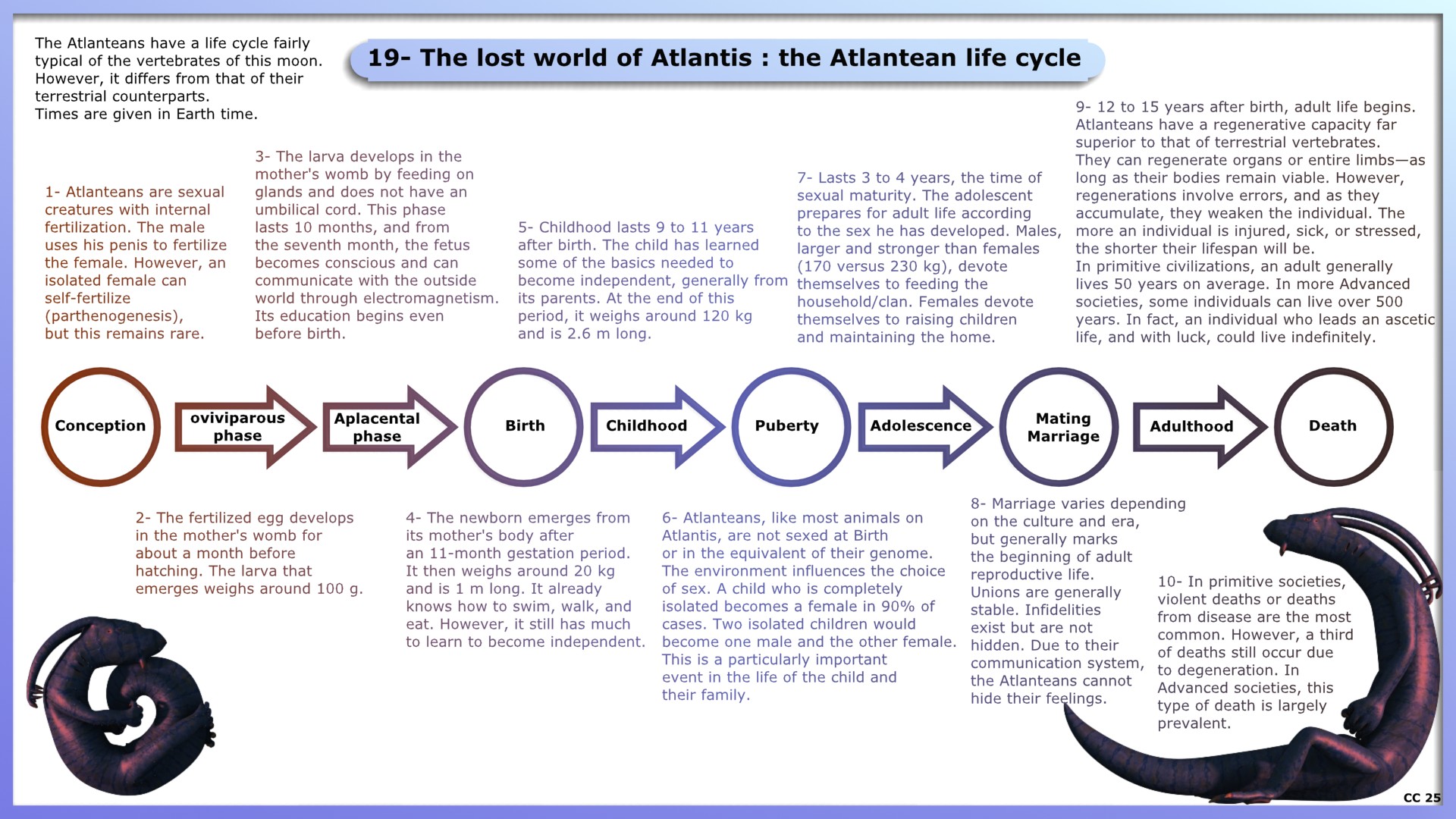 19- The lost world of Atlantis : life cycle